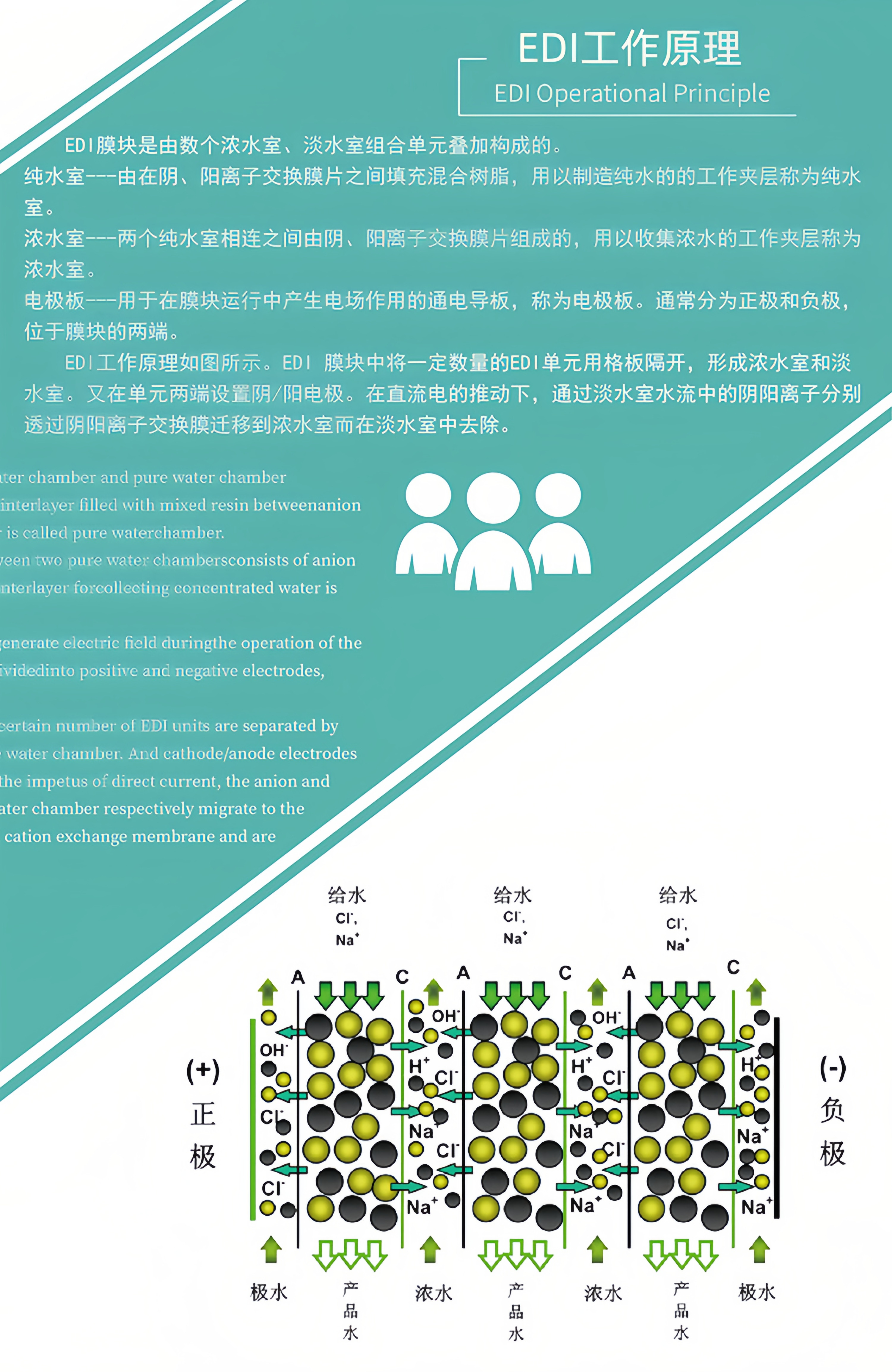 EDI超纯水模块厂家 去离子反渗透膜块